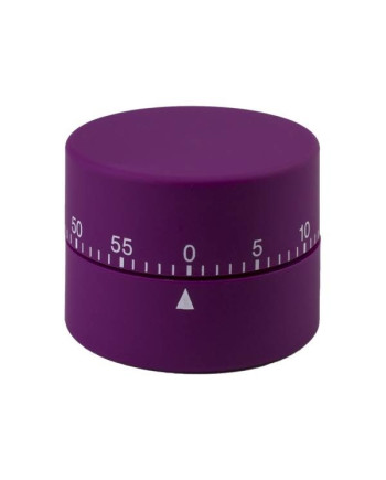 RELOJ TEMPORIZADOR Nº22 