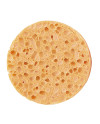 Esponja natural para el cuerpo