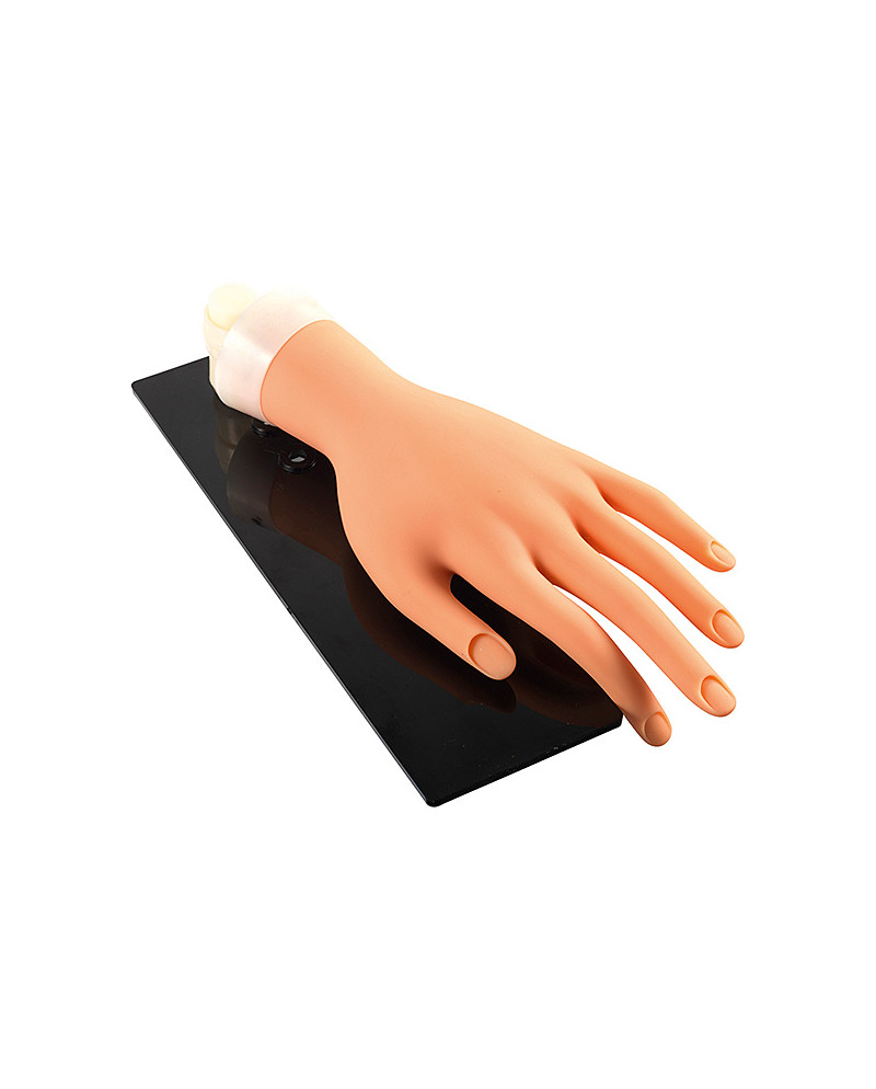 Mano de practicas + soporte + 10 protectores uñas