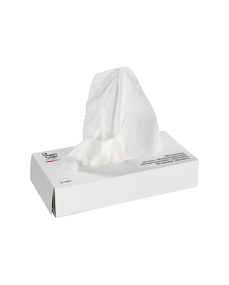 Pañuelos desechables - caja de 100
