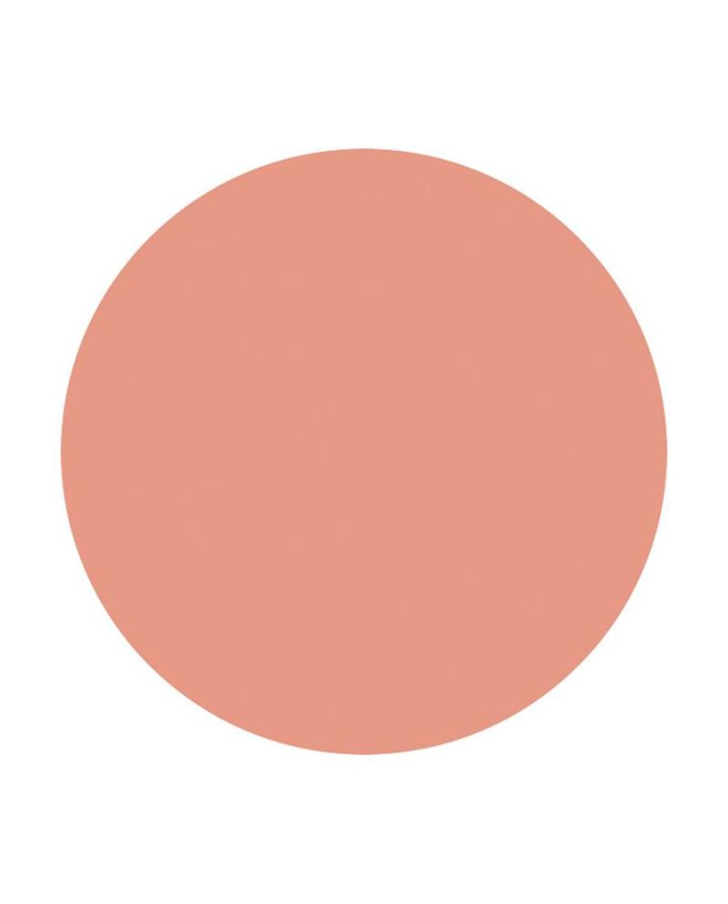 Probador colorete mangue 3 g