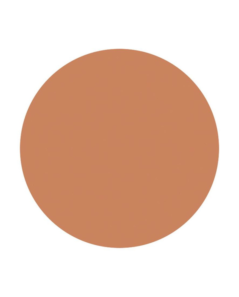 Probador colorete brique 3 g