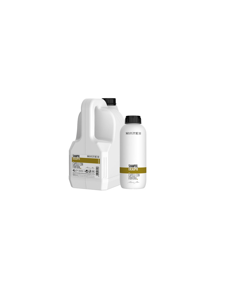 CHAMPU EUCALIPTO ARTISTIC FLAIR 4000 ML.
