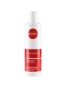 QUITAMANCHAS TINTE REGINA 200 ML