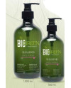 BIOGREEN ANTI-FRIZZ CHAMPU 1.000 ML.