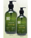 BIOGREEN COLORED HAIR CHAMPU 500 ML.