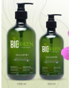 BIOGREEN BIO SILVER CHAMPU 500 ML.