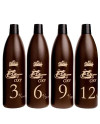EDIVERSO OXIDANTE 6% 20 vol. 1000 ml.