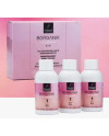 BORGANIK COLOR SHINE DEMIPERMANENT 3x50 ML 